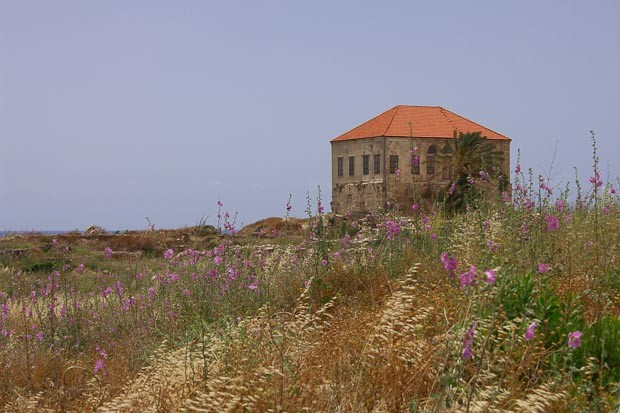 Byblos Ruins-7 Ottoman house sits among neolithic ruins in a meadow of flowers, Byblos, Jbail, Lebanon.