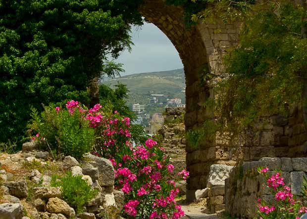 Flowers in the Ruins of Ancient Byblos flowers in the ruins of Byblos: view from a side gate of the Crusader castle.