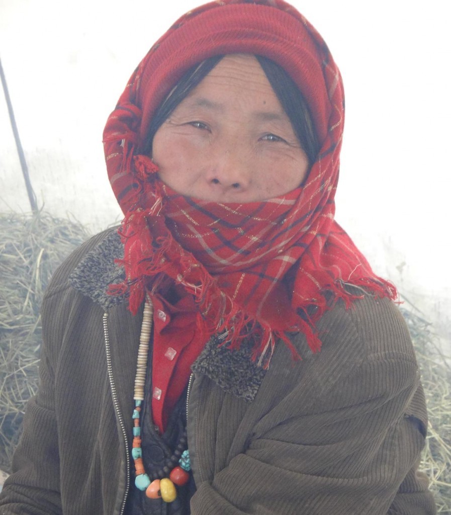 Mother of woodcutting family in Songpan.