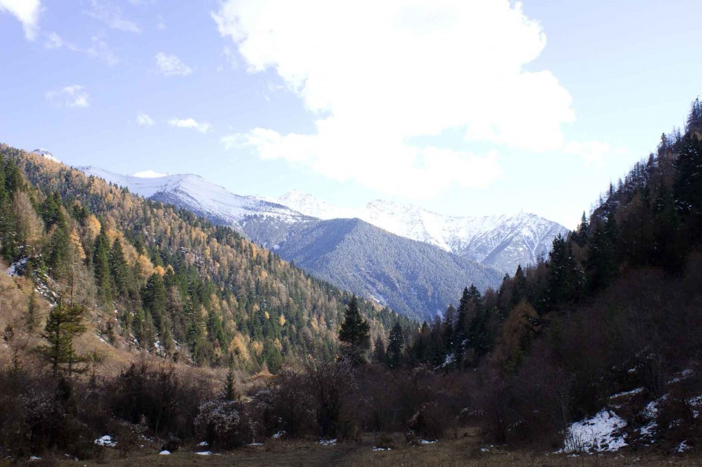 Camping spot in glade outside Songpan, China.