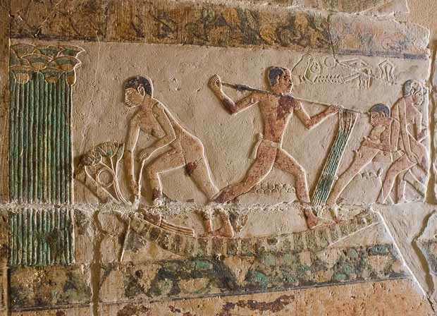 Tomb Relief Sakkara Tomb relief from Sakkara, showing men playfighting on a boat amid papyrus.