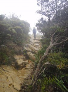 ascending the ochre slabs, Mount Kinabalu.