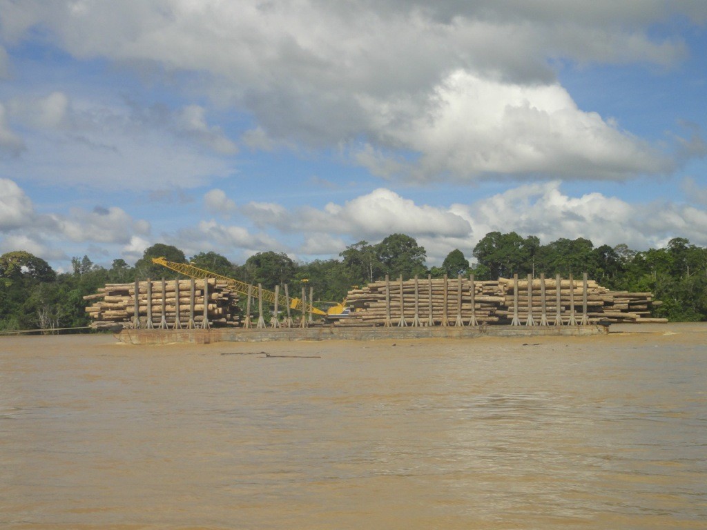 Logging Barge, Batang Rejang, Sarawak, Malaysia, Borneo. Three platforms laden with forest timber plough their way down the Batang Rejang, Sarawak, Borneo, Malaysia.