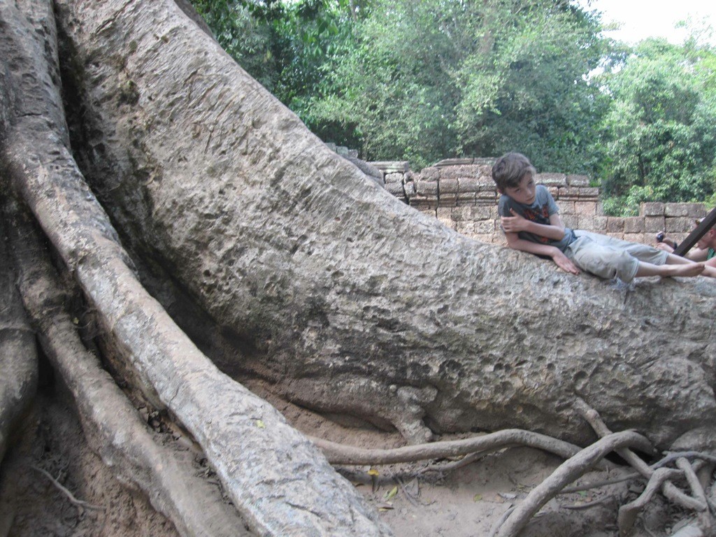 ruins_ta_prohm_cambodia On a giant tree trunk in the ruins of Ta Prohm, Cambodia.