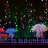 Harbin Toadstools