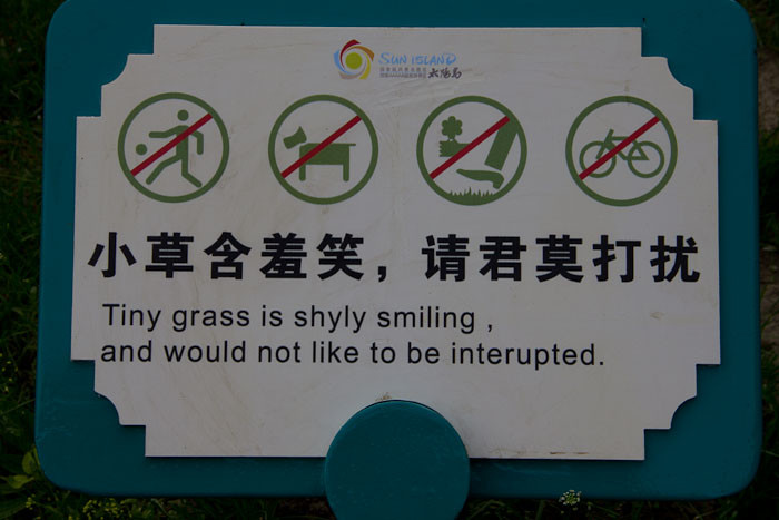 This grass is shly smiling and would not like to be interupted