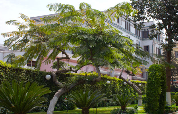 American University Cairo Grounds Gardens of the American University in Cairo, just off Tahrir Square.