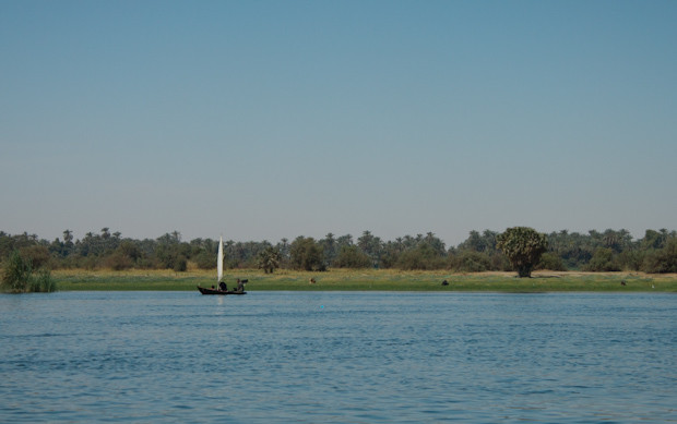 Felucca trip- fishing boat on Nile A fishing boat by an island on the Nile.