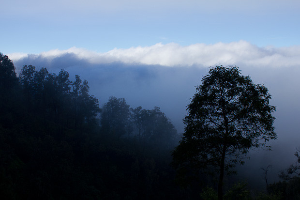 Ijen Plateau Java View across the Ijen Plateau, Java, in the mist.