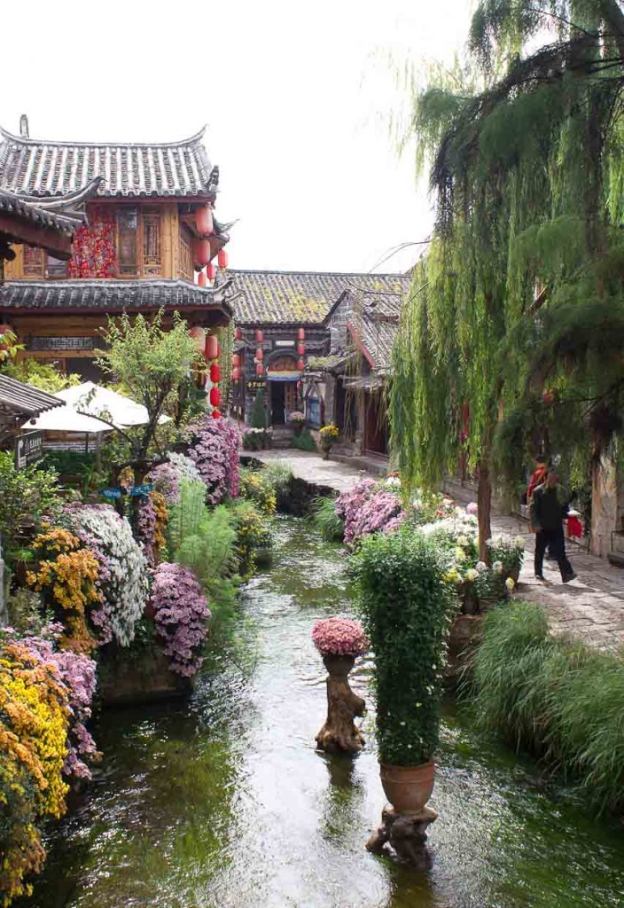 Canals, shop houses, willows and flowers in Lijiang.
