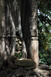 Nome, Timor: simple carved totem pole in the shade of a strangling fig.