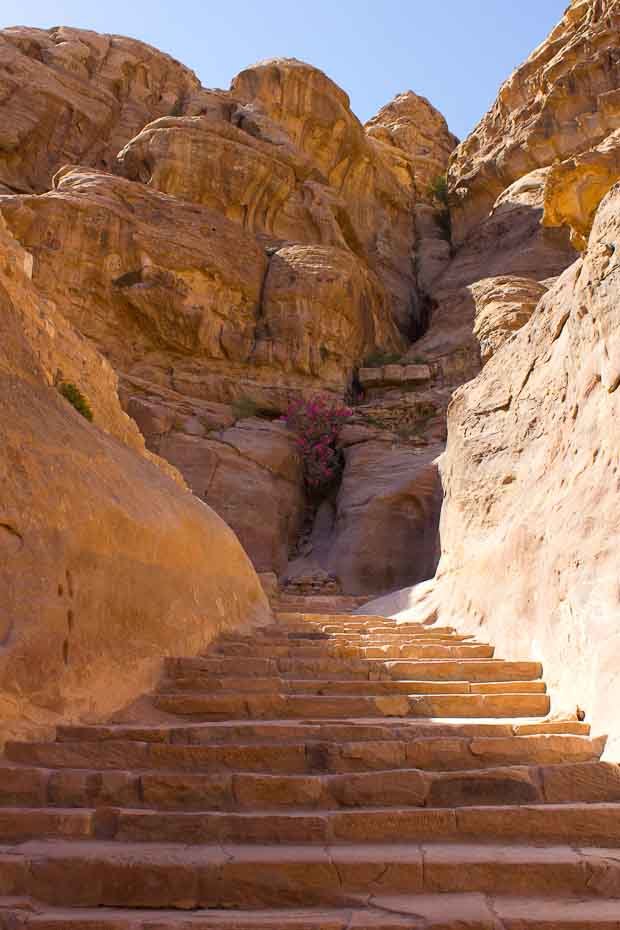 Petrafied in Petra-13 Stairs up to Monastery in Petra.