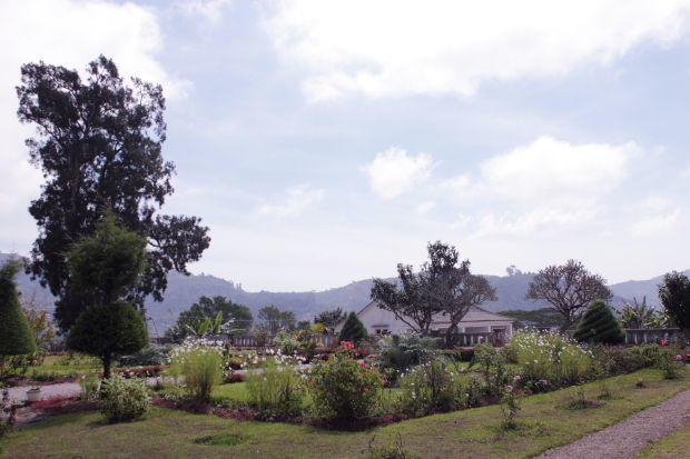 Pousada maubisse garden of pousade in maubisse, east timor (timor leste)