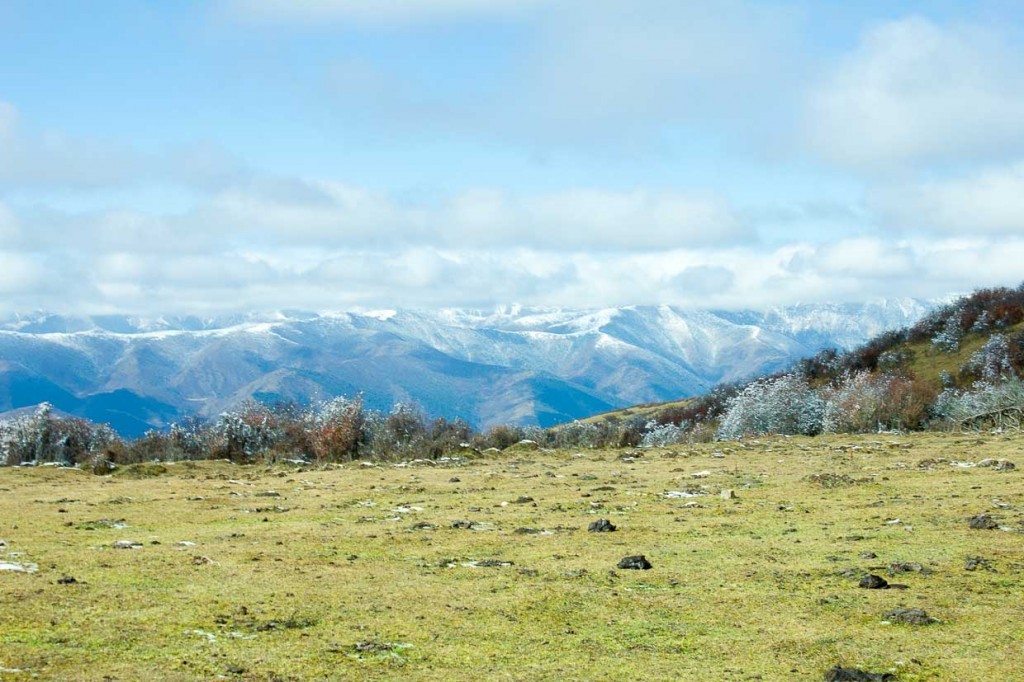 Green fields giving onto mountains in Songpan, near Tibet.