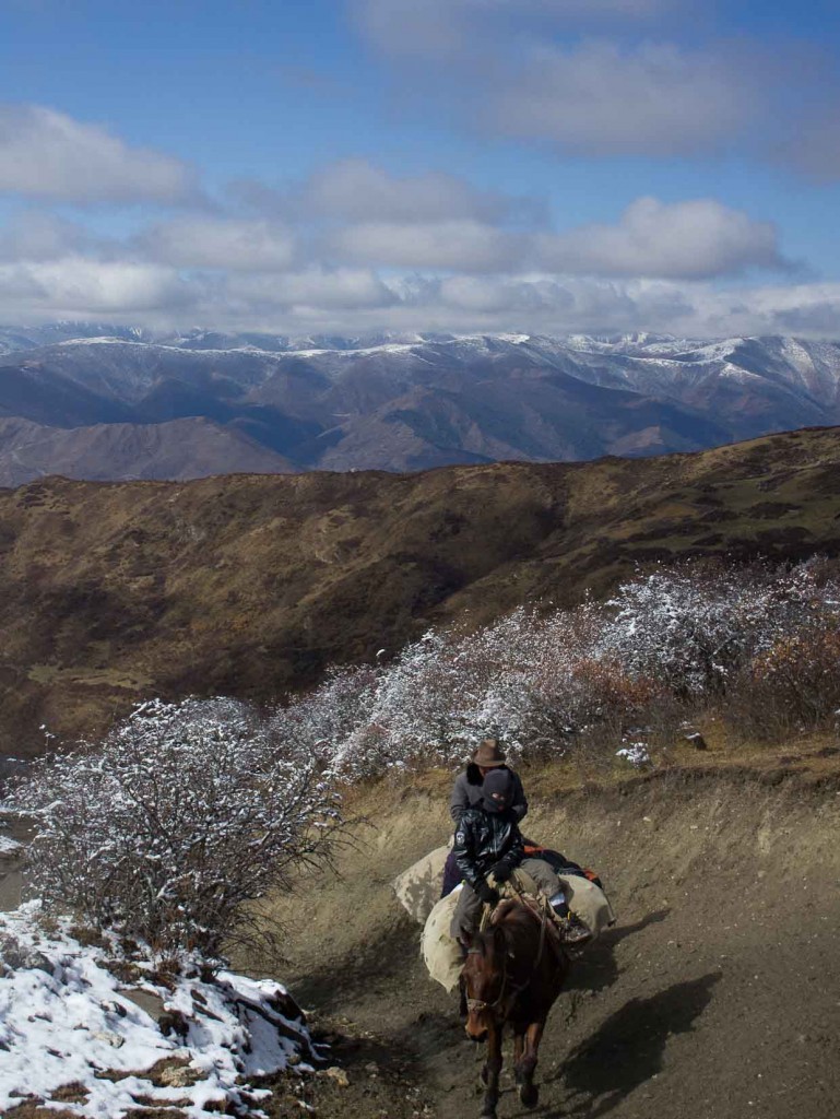 Songpan Horse Trekking Z and Martin on their horses climbing out of Songpan.