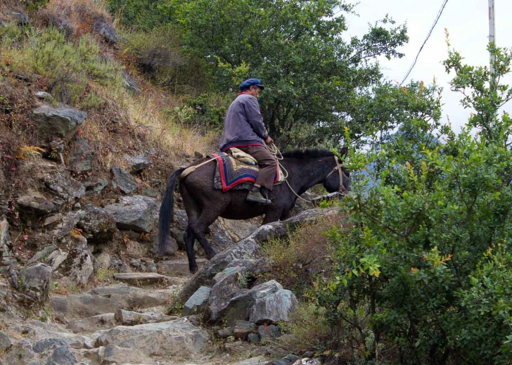 Muleteer on path in Tiger Leaping Gorge.