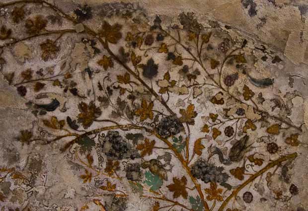 Wadi Muthlim-10 Grape patterns from the ceiling of a tomb in Little Petra.