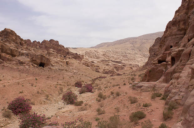 Wadi Muthlim-4 The Wadi Muthlim opens out into Petra.