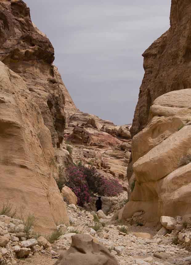 Wadi Muthlim The Wadi Muthlim with pink oleanders growing between the cliffs.