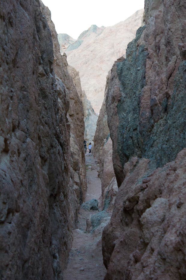 Wadi in Sinai desert Sheer gorge carved by river in the Sinai desert outside Dahab.