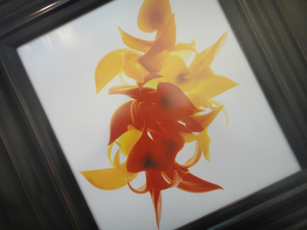 painted orchids, imagine peace painted red and yellow orchids at the Imagine Peace exhibition, Bangkok centre for Art & Culture