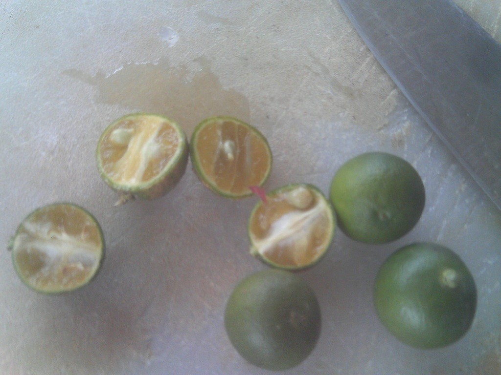 Calamansi_Philippines_Filipino_citrus Cut and uncut calamansi fruit on chopping board