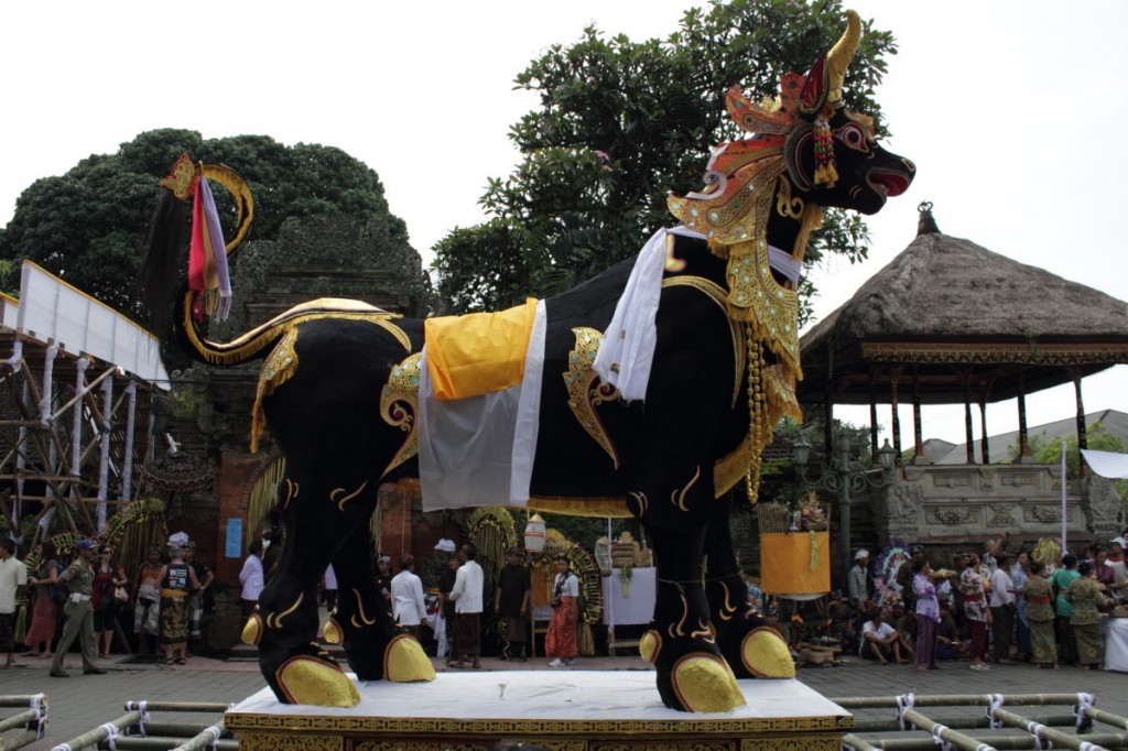 black bull sarcophagus with gilded tale, hooves and necklaces at a balinese funeral, ubud.