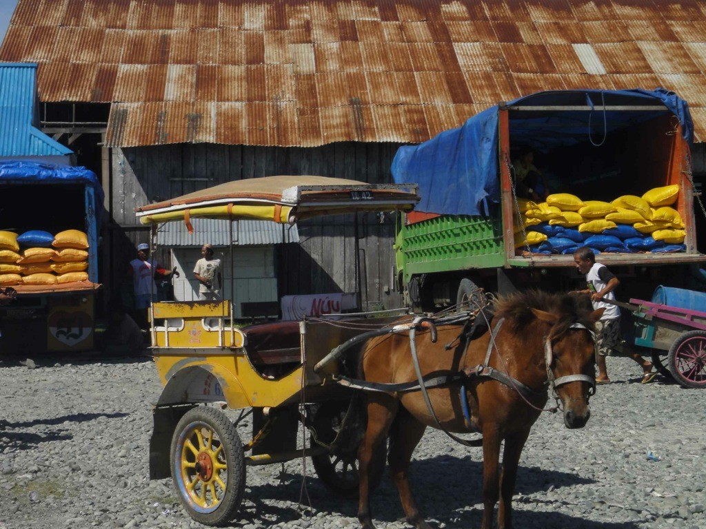 horse and cart ampana sulawesi indonesia horse and cart waiting at Ampana port, Sulawesi, Indonesia.