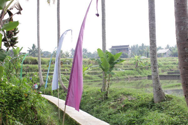 school gates At the path that leads to Z's school in Bali: prayer flags and rice fields.
