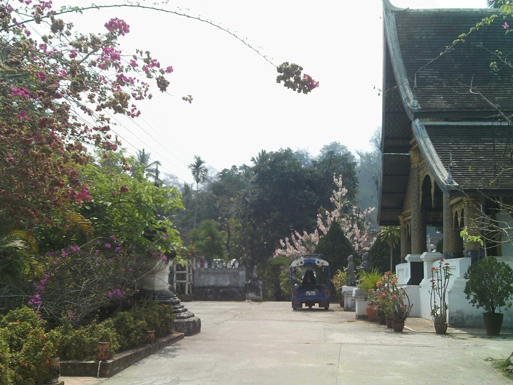 Temple-Luang-Prabang-Laos view of monastery, with flowers in foreground, Luang Prabang, Laos