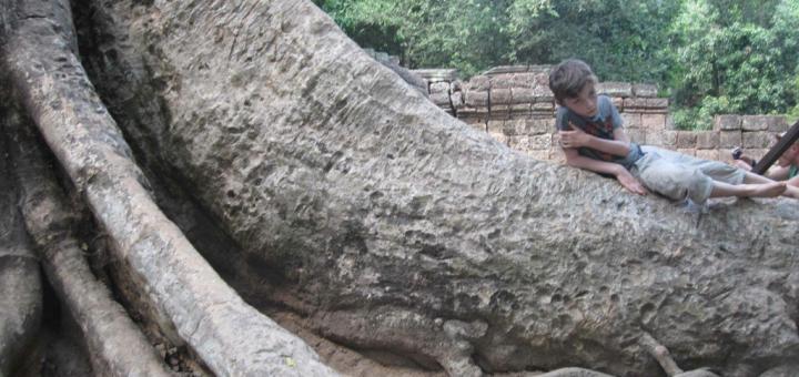 On a giant tree trunk in the ruins of Ta Prohm, Cambodia.