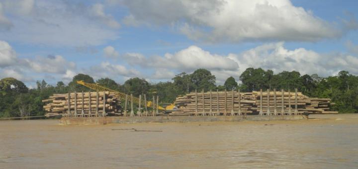 Three platforms laden with forest timber plough their way down the Batang Rejang, Sarawak, Borneo, Malaysia.