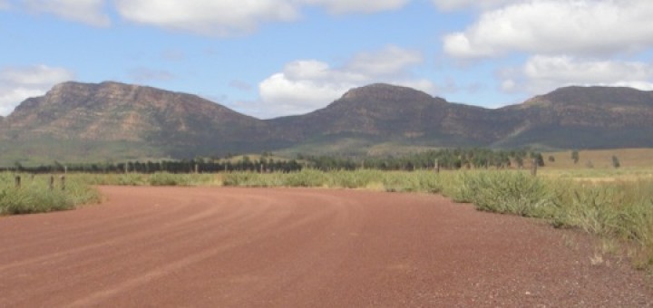 The curving edges of Wilpena Pound, a gigantic geological depression.