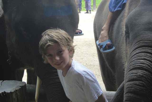 little Zac with big elephants...