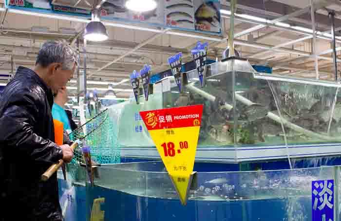 Fishing for dinner in Carrefour, Kunming, China.
