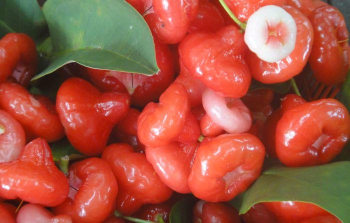 Water apples in Penang, Malaysia.