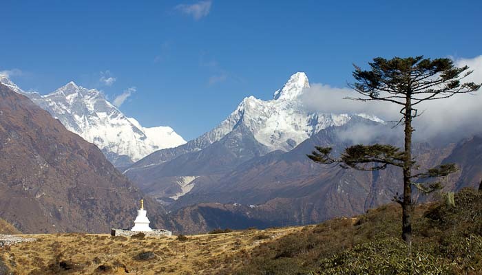 Tall juniper overshadows chorten with Ama Dablam in the background: Khumjung.