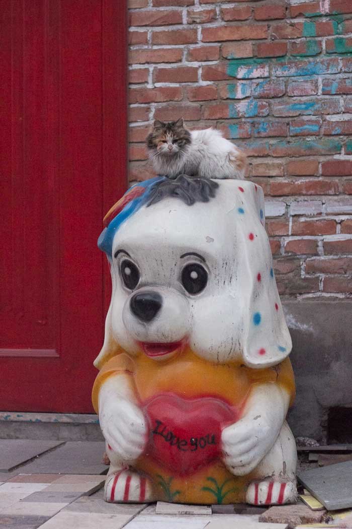Cat on dog sculpture, 798 Art District, Beijing.