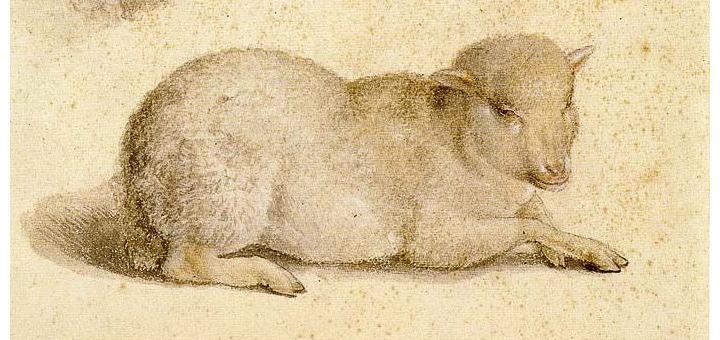 Detail of Hans Holbein the Younger's Resting Lamb and the Head of a Lamb, via Wikimedia Commons.