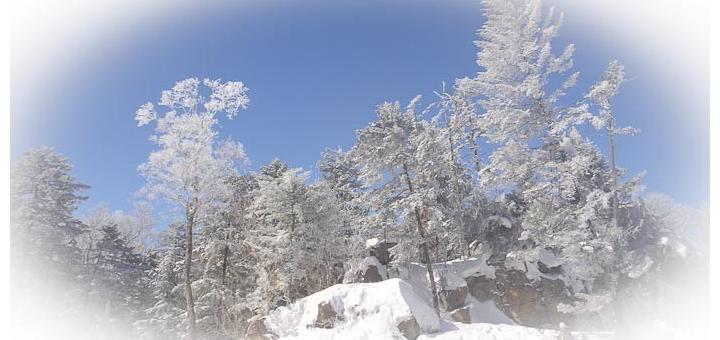 Snow-covered trees at the top of the slope in Beidahu.