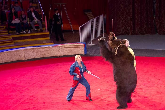 Bear tamer with dancing bear, Mongolian State Circus.
