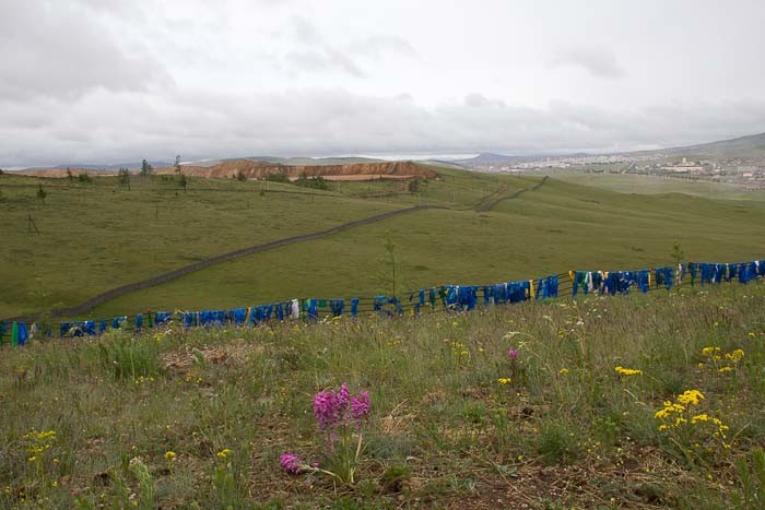 View of Erdenet and its copper mine. And wildflowers.