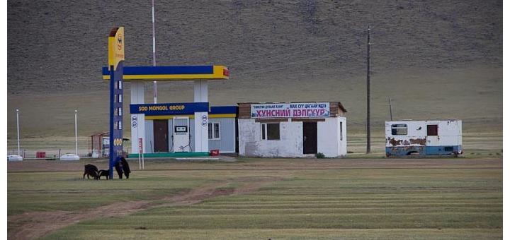 Petrol station, outer Mongolia, with goats and no road.