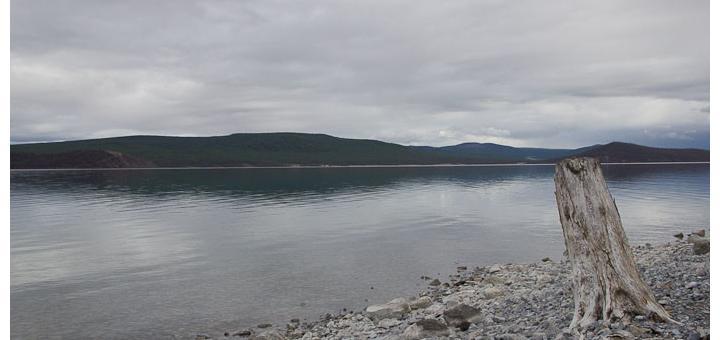 Khovsgol Nuur - beach and stump and reflecting waters.