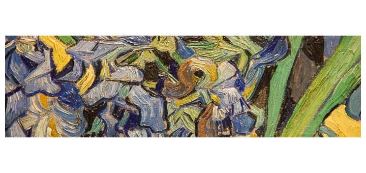 Detail of Van Gogh's Irises.