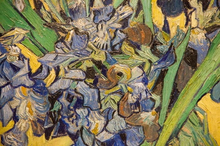 Detail of Vincent Van Gogh's Irises.