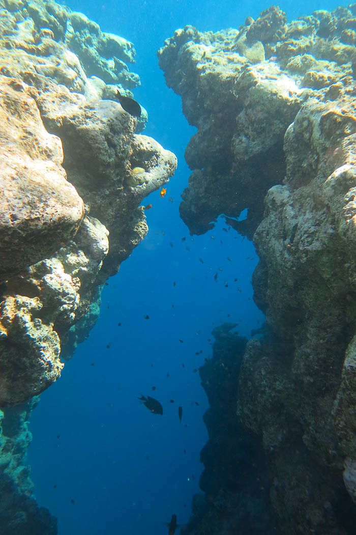 El Bells provides a spectacular entry into the Blue Hole, even if the coral is long gone.