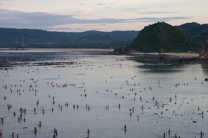 Bau Nyale Lombok-10