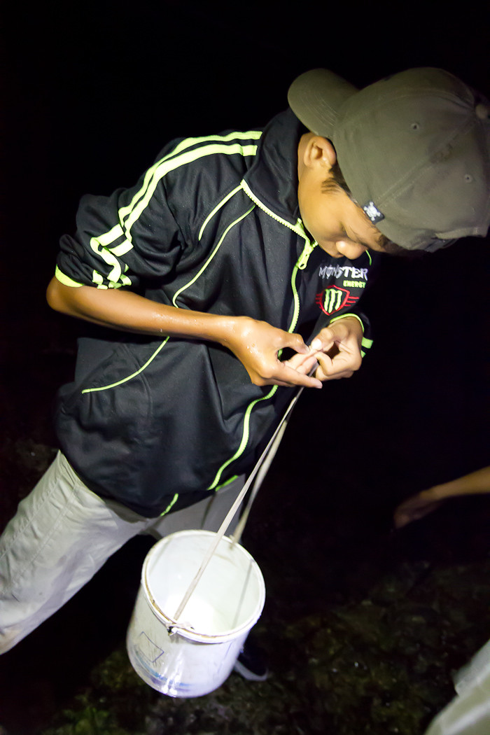 Bau Nyale Lombok-31