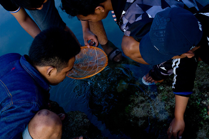 Bau Nyale Lombok-8